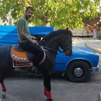 وانت نیسان دربستی ب تمام نقاط