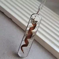 انواع گردنبند رزینی|بدلیجات|بیرجند, |دیوار