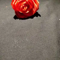 گل ربانی های زیبا|گل مصنوعی|نورآباد, |دیوار