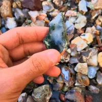 راف شجر سه قلعه