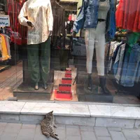 مانکن قفسه دکور رگال