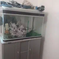 آکواریوم ماهی