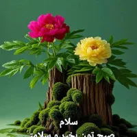 شاگرد اقا ترجیحا بازنشسته برای سبزی فروشی