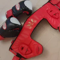 کلاه و دستکش وشو