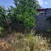 ۲۱۵مترباغچه چهاردیوار سندتک‌برگ آماده ساخت شهریار|فروش خانه و ویلا|شهریار, بکه|دیوار