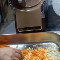 نگینی هویج سیب زمینی پیاز گارانتی دار