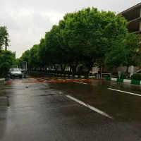 زمین شهرک حدیق مامونیه