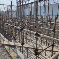 داربست فلزی شاهرخ و تخته زیر پا بنایی|خدمات پیشه و مهارت|بندرعباس, |دیوار