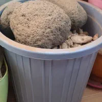 بستر تزیینی|ماهی|زاهدان, |دیوار