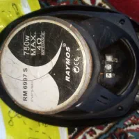 باند سالم درحد