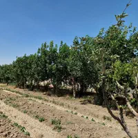 3000 متر چهار دیواری  با قابلیت صنعتی و ویلایی|فروش زمین و ملک کلنگی|رباط‌کریم, شهرک صنعتی ده‌حسن|دیوار