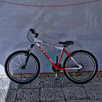 دوچرخه ویوا