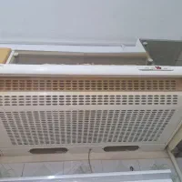 هود وسینگ دوقلو