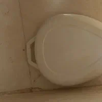 لگن پلاستیکی