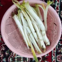 کنگره پاک شده هر جا کشور