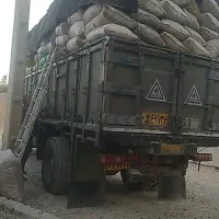 پوست چوبی گردو