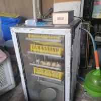 دستگاه جوجه کشی هوشمند