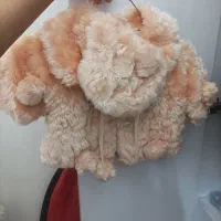 پالتو دخترانه