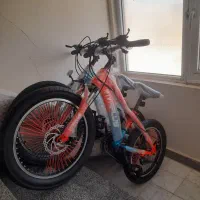 دوچرخه سایز۲۰ ( ویوا پلاس +)