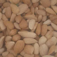 بادام سنگی