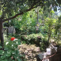 خانه ویلایی