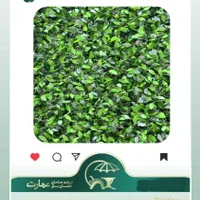فنس برگی