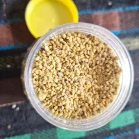 گرده گل کوهستان مناطق کازرون