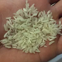 فروش برنج