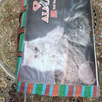 روتختی|سرویس روتختی|بندرعباس, |دیوار