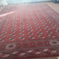 فرش تمیز بزرگ|فرش|بندر ترکمن, |دیوار