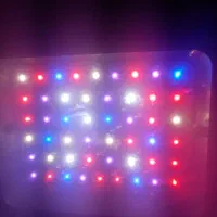 لامپ رشد گیاه،پرژکتور رشد گیاه،والواشر.دکتر گیاه