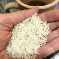 برنج تایلندی ۱۰ کیلویی آفرین کیلویی ۱۴۵ تومان|خوردنی و آشامیدنی|تهران, حر|دیوار