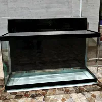 آکواریوم خارجی شیشه خم