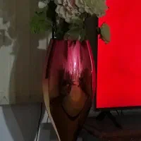 پیک 2 عدد همراه گل ها