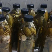 خیارشور درجه یک