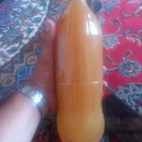 عصل کوهی طبیعی