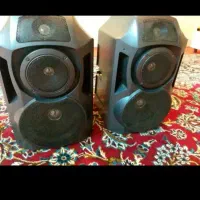 یک جفت باند