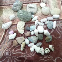 سنگ و صدف آکواریوم