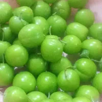 گوجه سبز