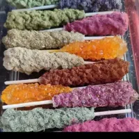 نبات گیاهی شاخه ای