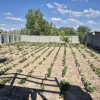 باغ در روستای حاج آقا