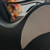 یک سرویس مبل ۸ نفره تمیز و شیک|مبلمان خانگی و میز عسلی|شیراز, گل سرخ|دیوار