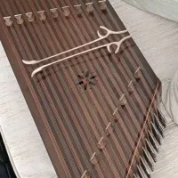 سنتور حرفه ای در حد نو