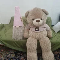 دوعروسک  خرس و آقای ریش