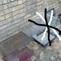 قفس و لانه پرنده