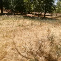 زمین-500متری