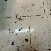 خدمات نظافت منزل و ساختمان