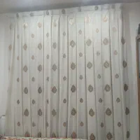 پرده پیله دار