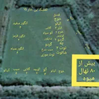 باغ مرکبات ۴هزار متر بهمراه اتاق کارگر کد۲۷۰