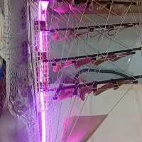 ماکت کشتی بلک رز|مجسمه، تندیس، ماکت|یزد, |دیوار